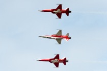 Patrouille Suisse Northrop F-5E Tiger II